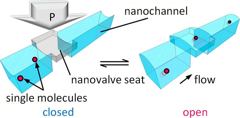 Revolutionary-Nanovalve-Enables-Active-Control-of-Single-Molecule-Flows-777x383.jpg
